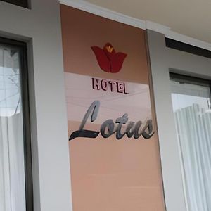 Lotus Hotel